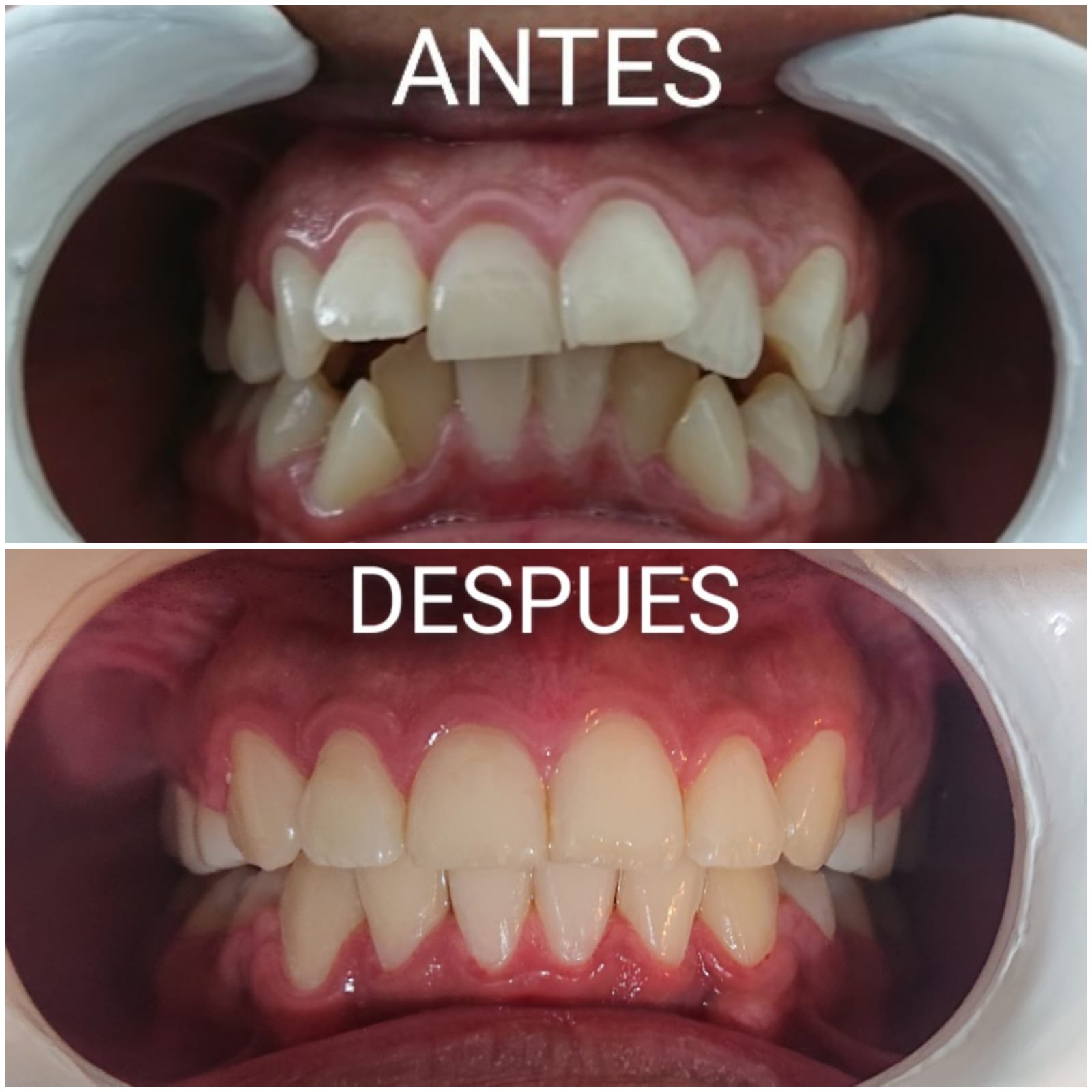 Consultorio de Especialidad Dental en Tlalpan CDMX